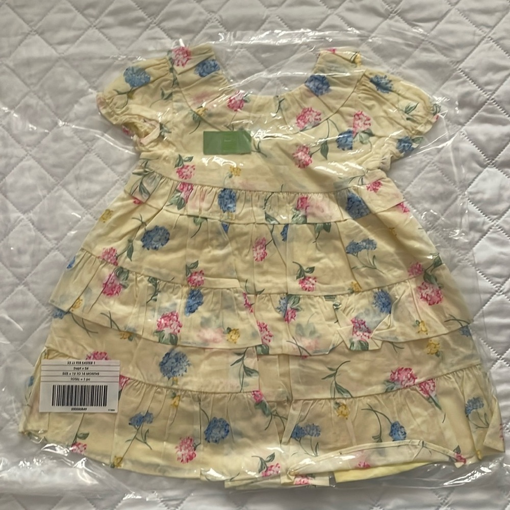 Janie and Jack 12 to 18 months baby floral tiered ruffle dress